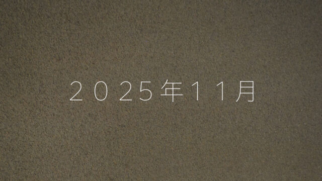 Open days in November